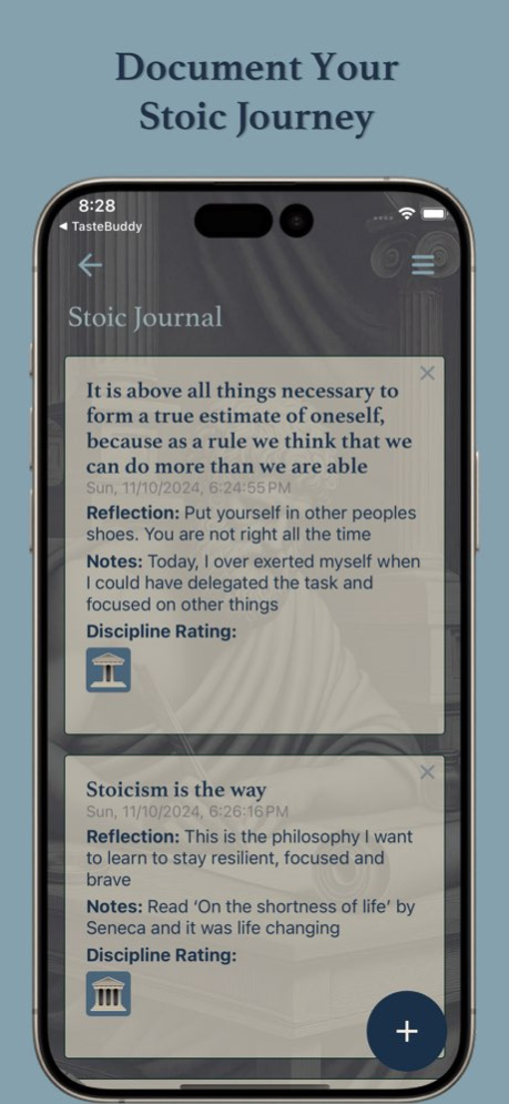 Stoic AI Daily Journal: Stoica 1.11 Screenshot