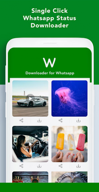 Story saver for instagram 1.0 Screenshot