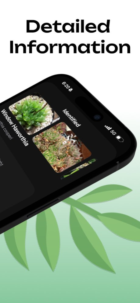 Succulent Identifier 1.2.10 Screenshot