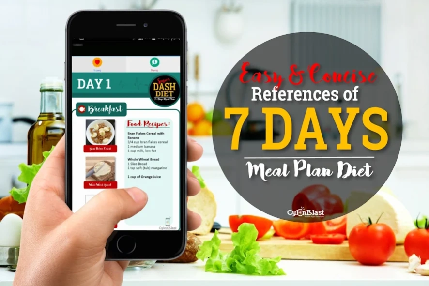 SUPER DASH DIET MEAL PLAN 25.0.0 Screenshot