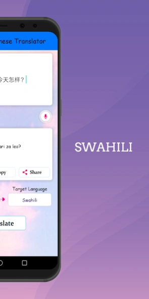 Swahili - Chinese Translator 1.4 Screenshot
