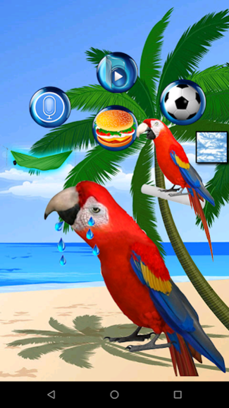 Talking Parrot 1.3 Screenshot