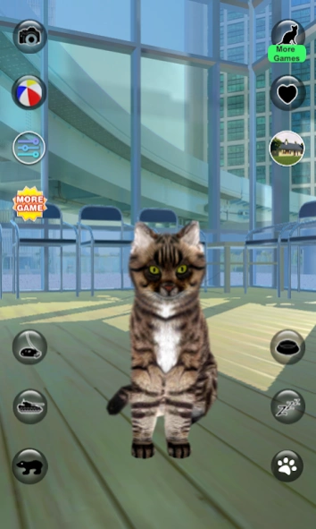 Talking Reality Cat 1.59 Screenshot