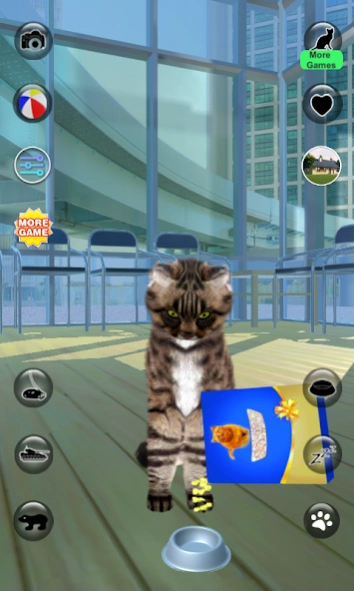 Talking Reality Cat 1.59 Screenshot