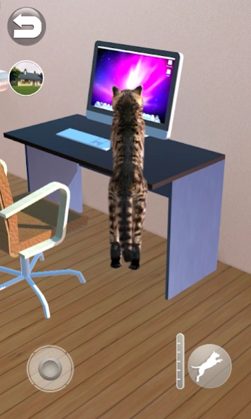 Talking Reality Cat 1.59 Screenshot