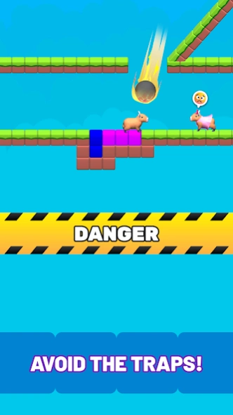 Capybara Bridge: Brain Puzzle 0.1.11 Screenshot
