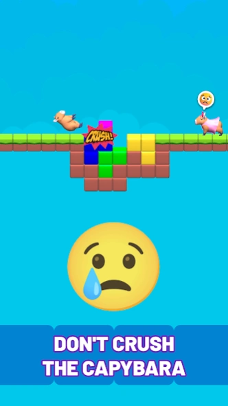 Capybara Bridge: Brain Puzzle 0.1.11 Screenshot