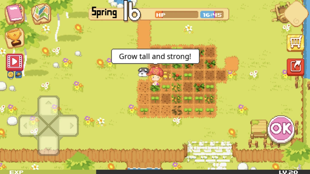 The Farm : Sassy Princess 1.2.4 Screenshot