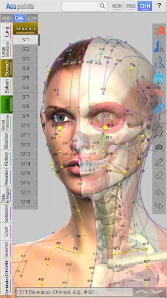 Acupoints  Screenshot