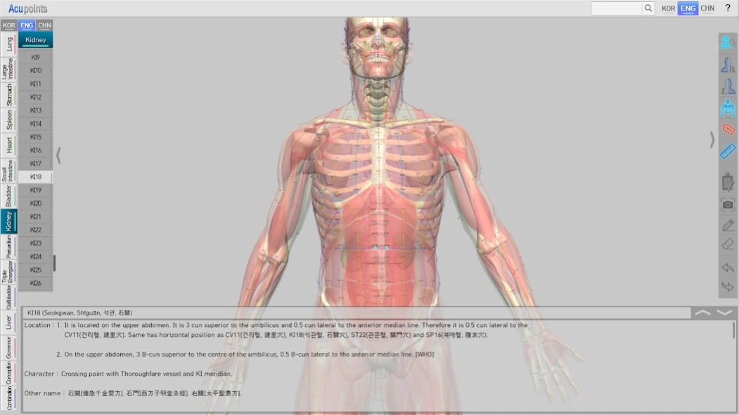 Acupoints  Screenshot