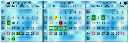 TMS Planner Calendars and DatePickers 2.2.2.1 Screenshot