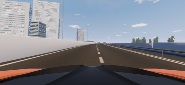 Tokyo Driving Simulator  Screenshot