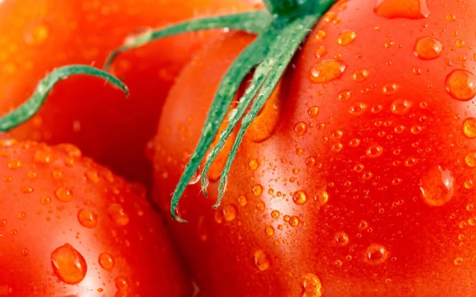 Tomato Wallpaper 1.0 Screenshot