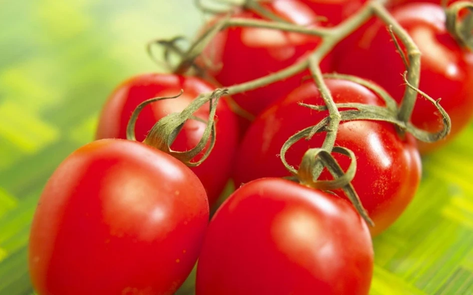 Tomato Wallpaper 1.0 Screenshot