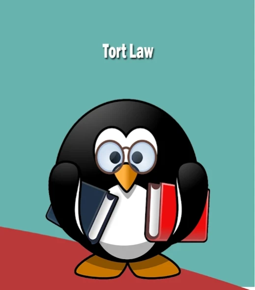 Tort Law 23 Screenshot