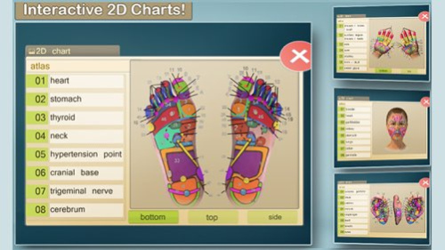 Total Reflexology-3D 2.5 Screenshot