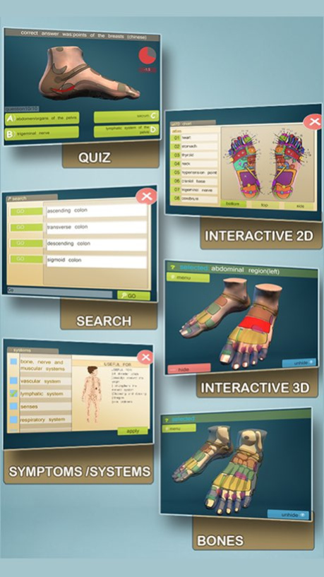 Total Reflexology-3D 2.5 Screenshot