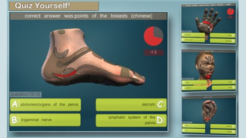 Total Reflexology-3D 2.5 Screenshot