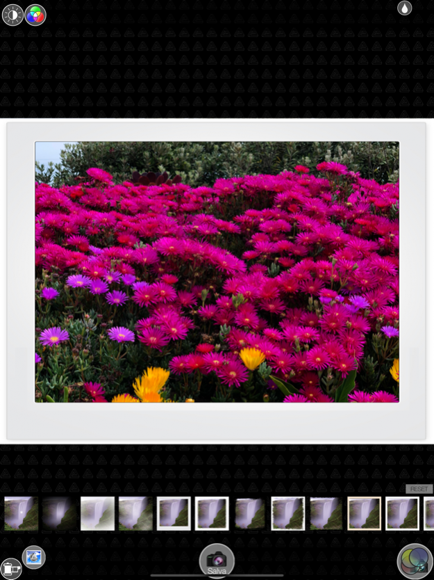 Ultimate Photo 1.5 Screenshot