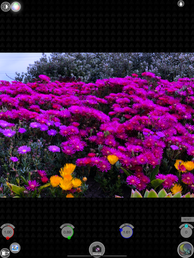 Ultimate Photo 1.5 Screenshot