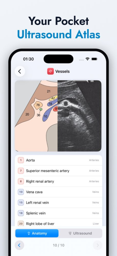 Ultrasound Anatomy Atlas 1.1 Screenshot