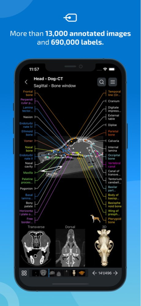 IMAIOS vet-Anatomy 6.7.1 Screenshot