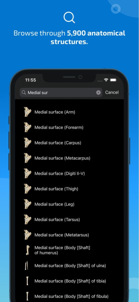 IMAIOS vet-Anatomy 6.7.1 Screenshot