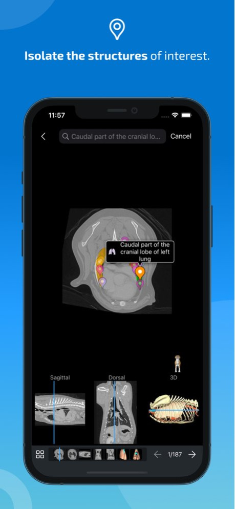 IMAIOS vet-Anatomy 6.7.1 Screenshot