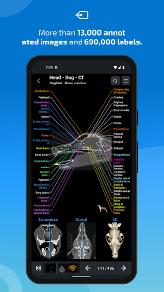 IMAIOS vet-Anatomy 5.10.0 Screenshot