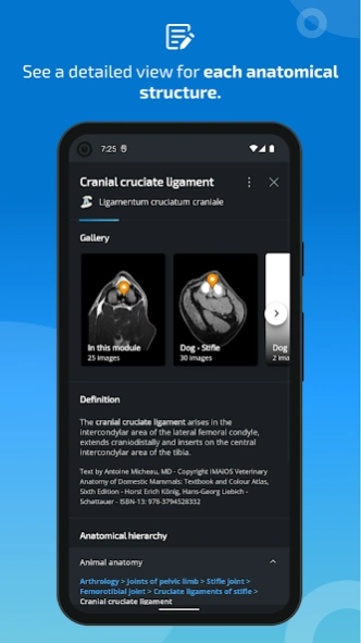 IMAIOS vet-Anatomy 5.10.0 Screenshot