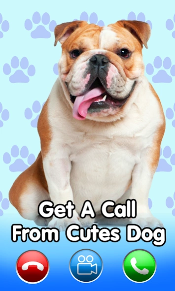 Video call from cute dog - pup  Screenshot