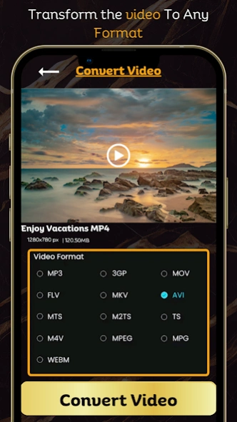 Video Compressor & Converter 13.4 Screenshot