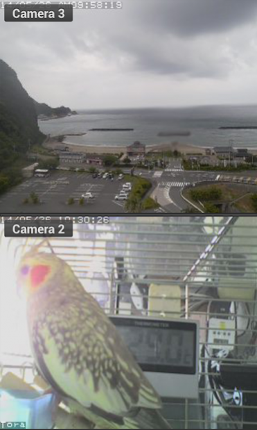 Viewer for Linksys IP Cameras 3.7 Screenshot