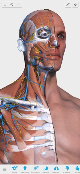 Visual Anatomy 3D - Human body 3.56 Screenshot