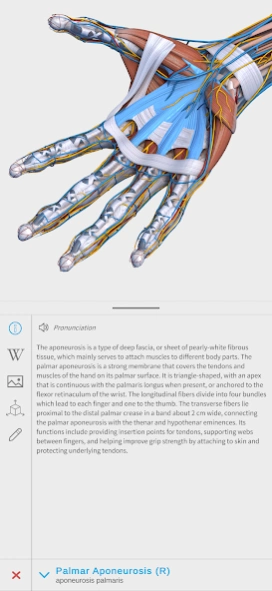 Visual Anatomy 3D - Human body 3.56 Screenshot