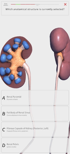 Visual Anatomy 3D - Human body 3.56 Screenshot