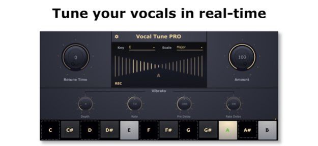 Vocal Tune PRO 2.0.2 Screenshot