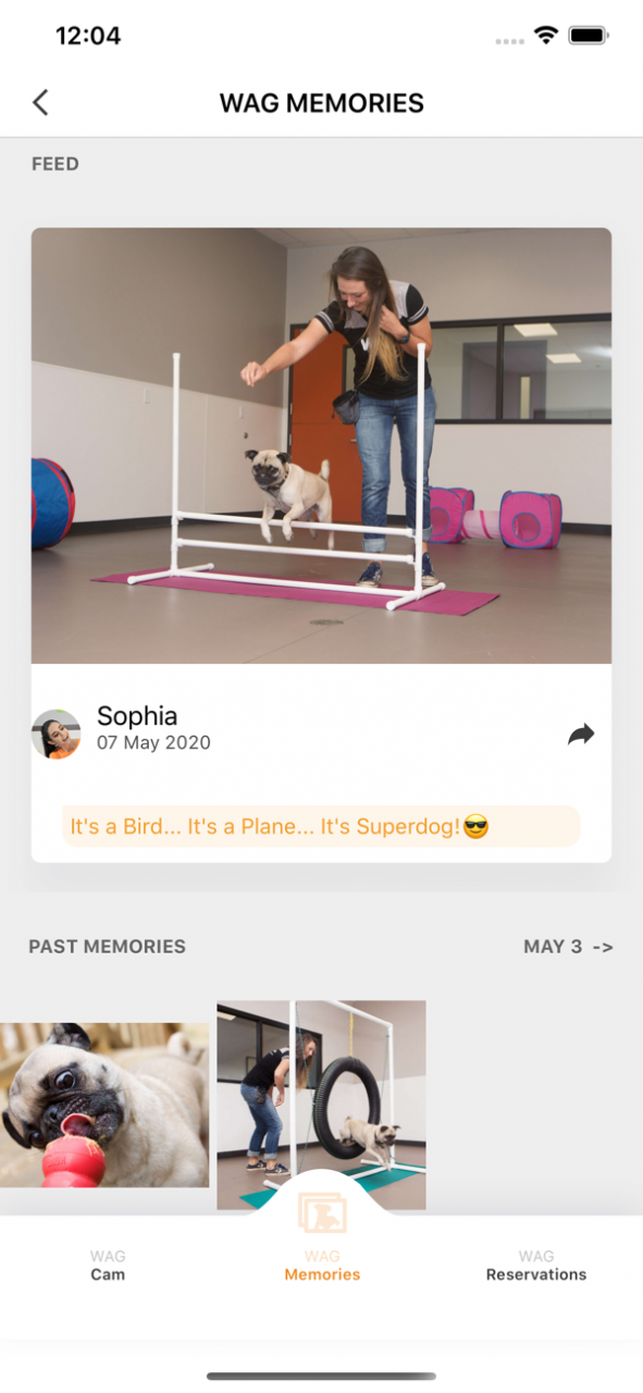 Wag Hotels 1.0.2 Screenshot