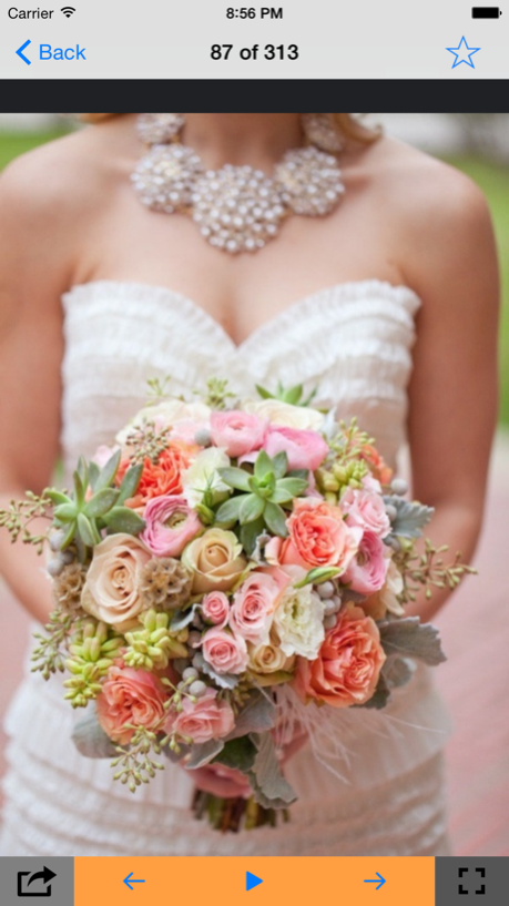 Wedding Bouquet Ideas 1.0 Screenshot
