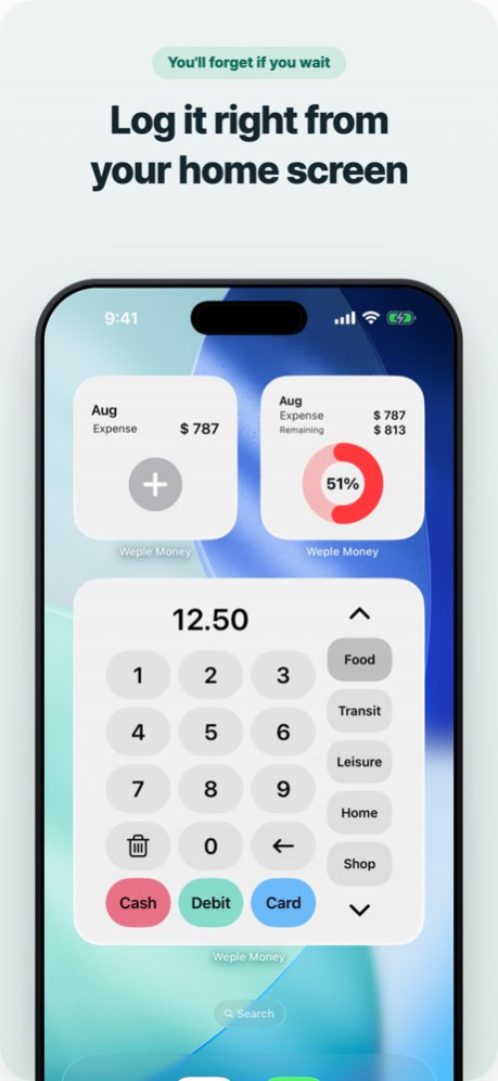 Weple Money Pro 6.1.6 Screenshot