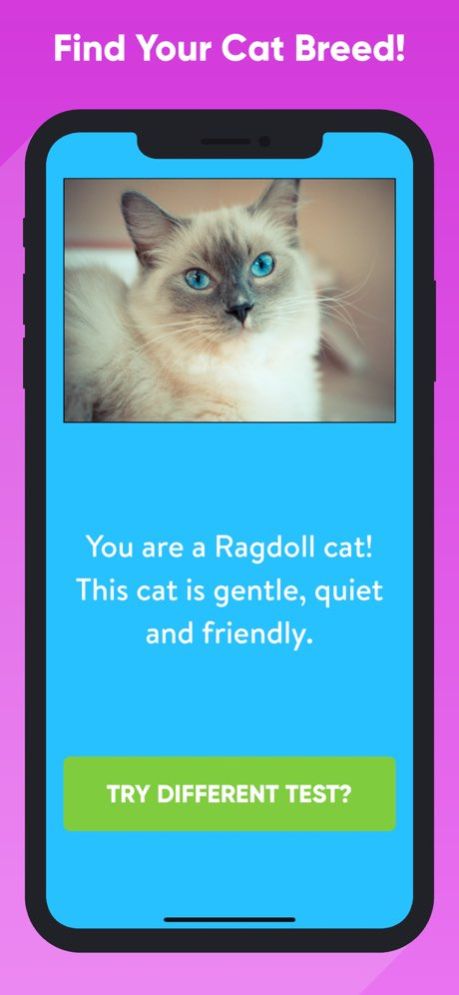 What Type Of Cat Are You? 4.5.0 Screenshot