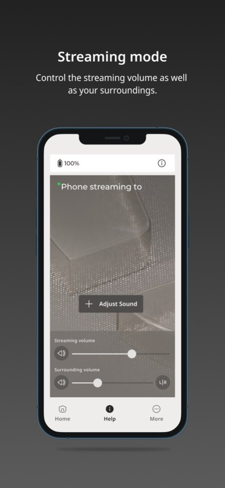 WIDEX ALLURE 1.4.20 Screenshot