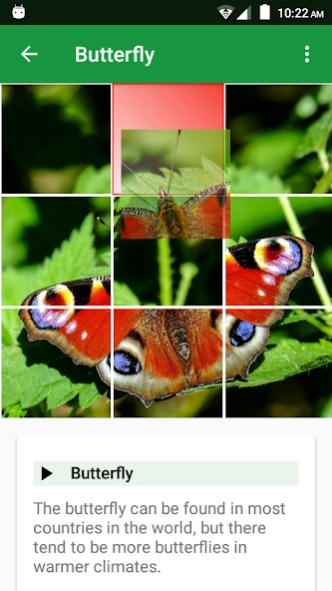 Wild Animals Puzzle  Screenshot