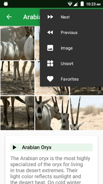Wild Animals Puzzle  Screenshot
