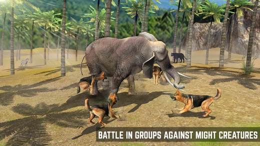 Wild Dog Simulator 2016 1.0 Screenshot