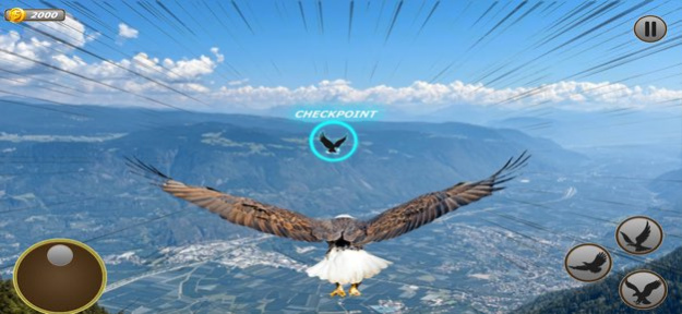 Eagle Simulator - Eagle Games 1.23 Screenshot