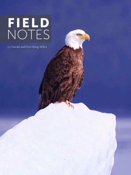 Wildlife Photographic Magazine 35.1.20250924 Screenshot