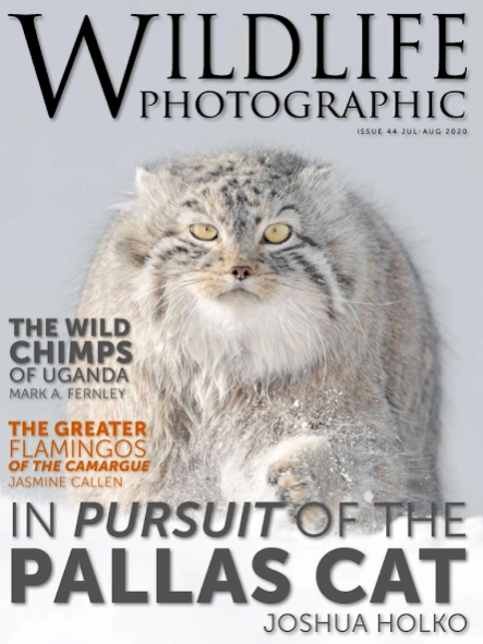 Wildlife Photographic Magazine 35.1.20250924 Screenshot