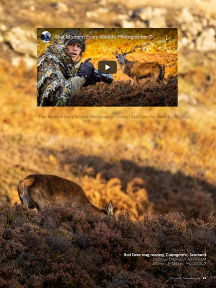 Wildlife Photographic Magazine 35.1.20250924 Screenshot