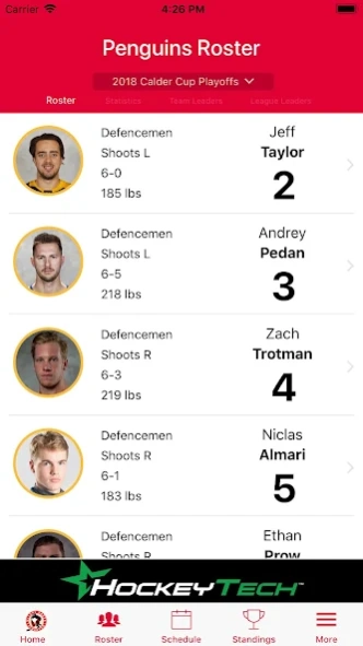 Wilkes-Barre/Scranton Penguins  Screenshot